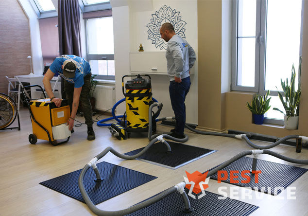 Профессиональная сушка после потопа в Новоуральске от 3000 руб. Быстро устраняем влагу, предотвращаем плесень и повреждения. Современное оборудование и опытные специалисты. Безопасно и эффективно.